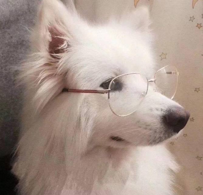 辻弌