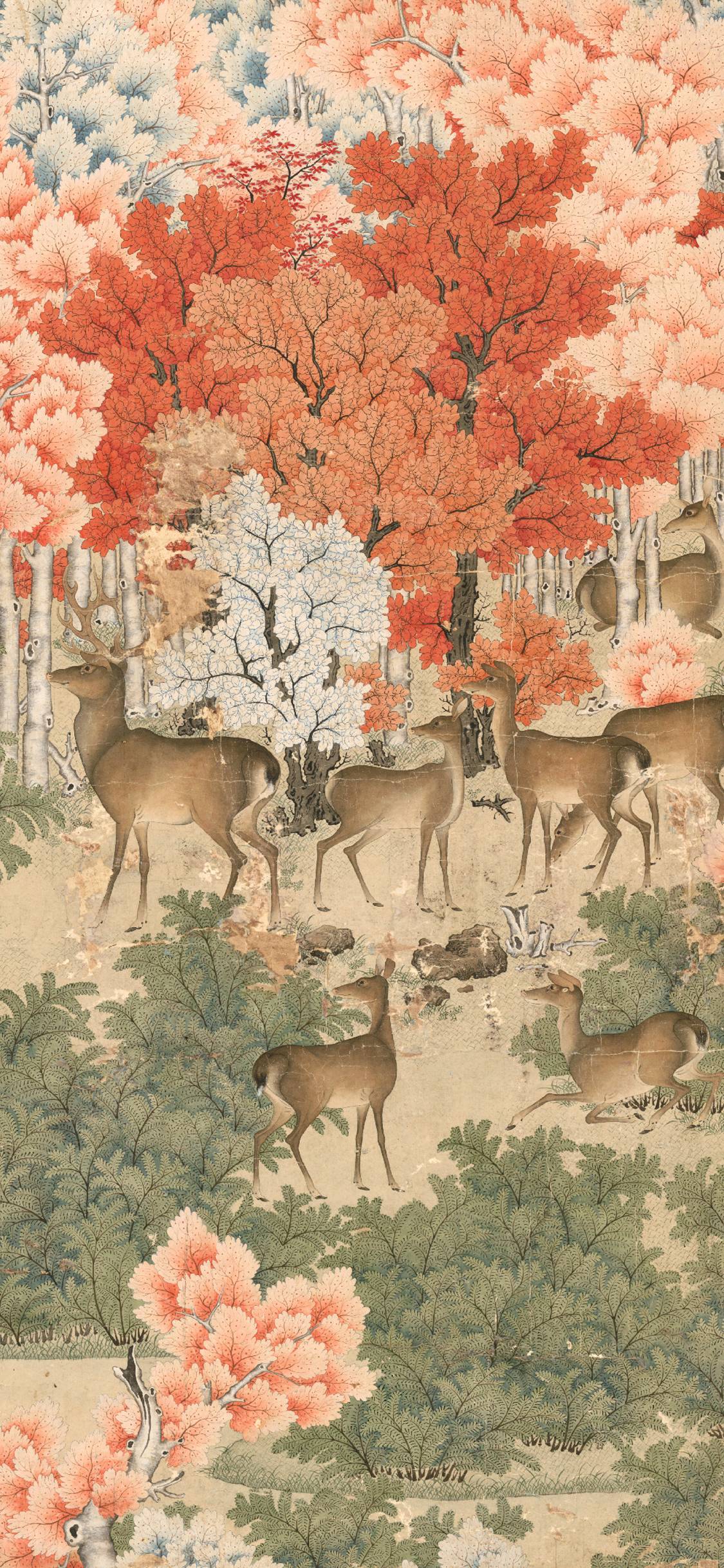 流芳百世的代号