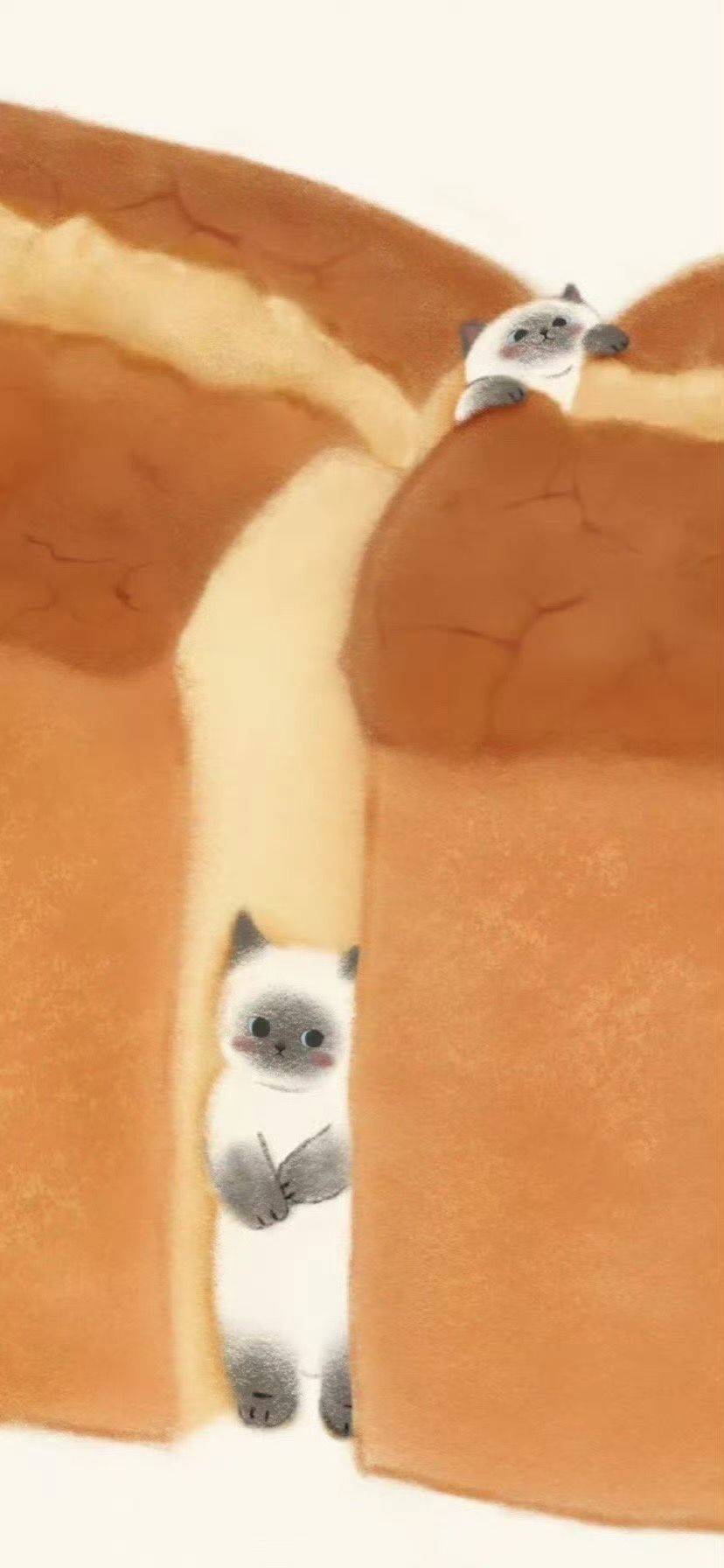 徐老板
