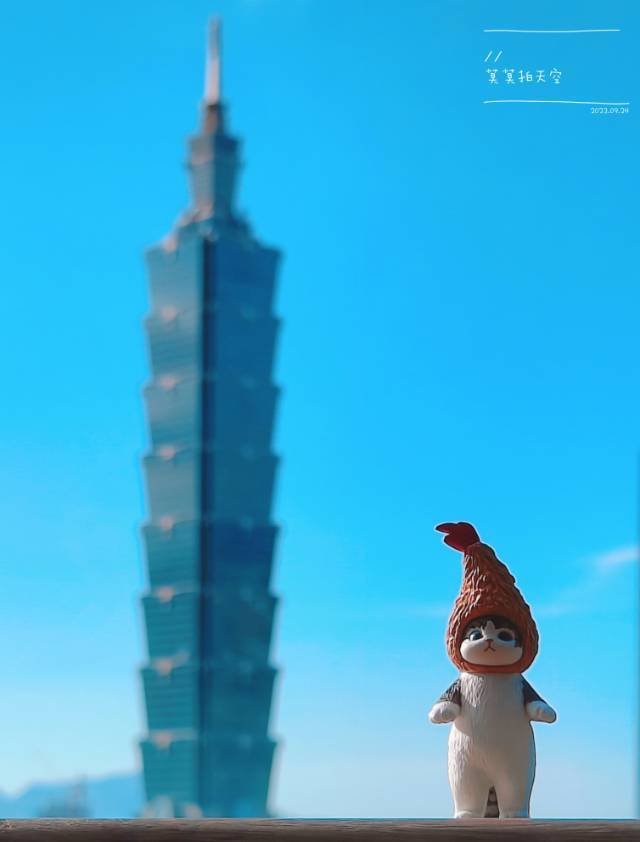 珊珊