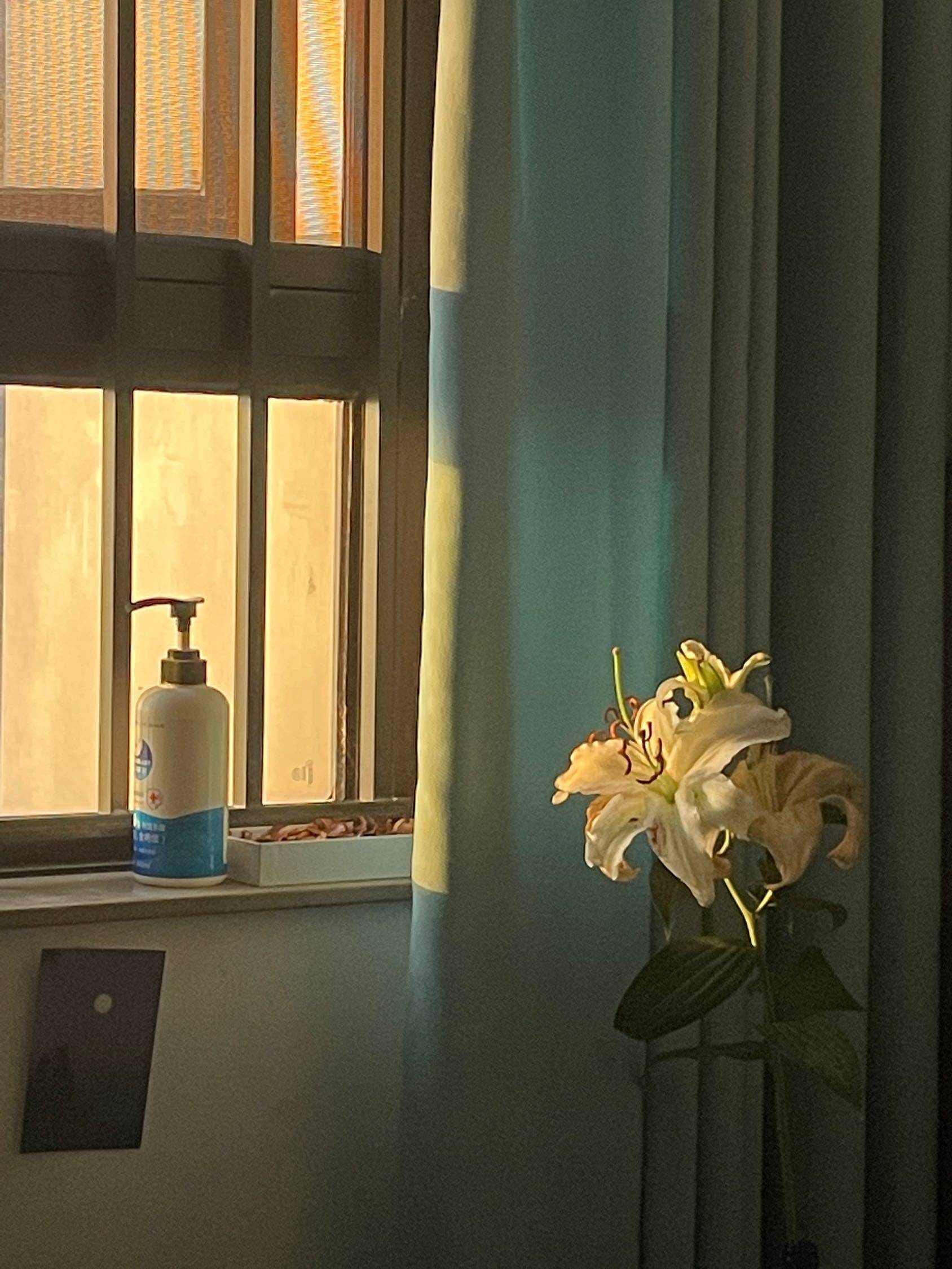 heyyyyye整租房源1