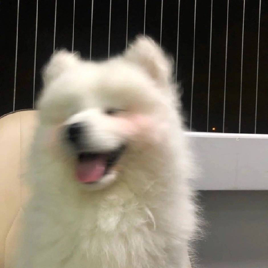 Zoe