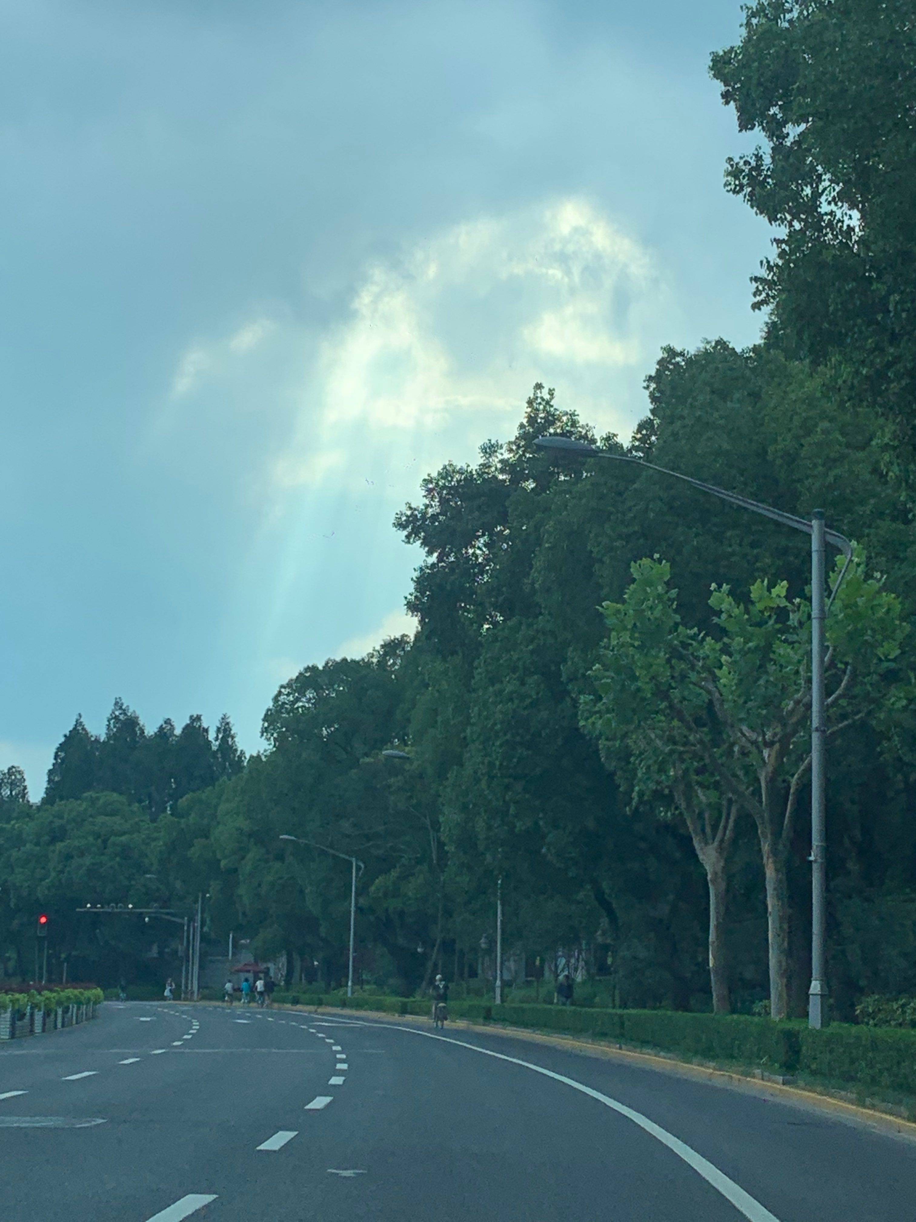 life_photo_2