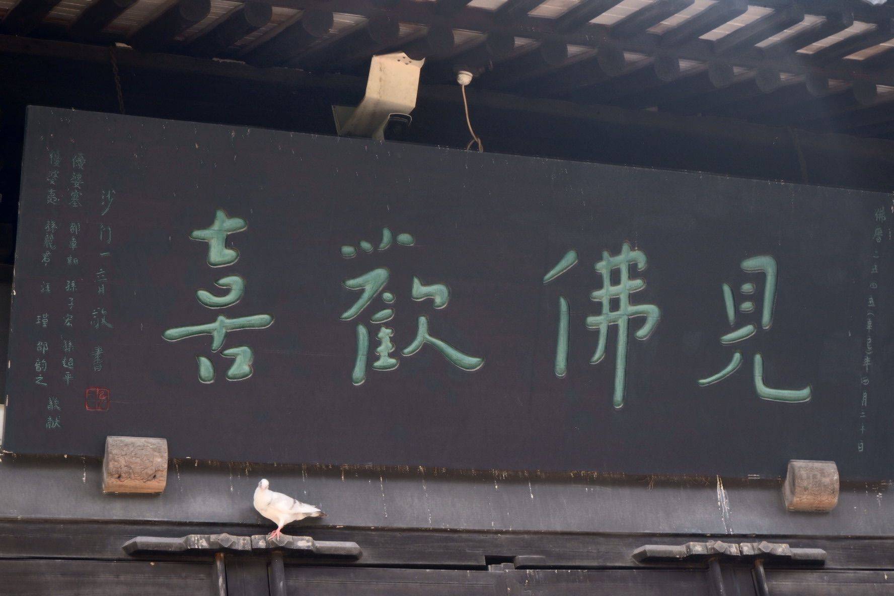 努力的小白菜