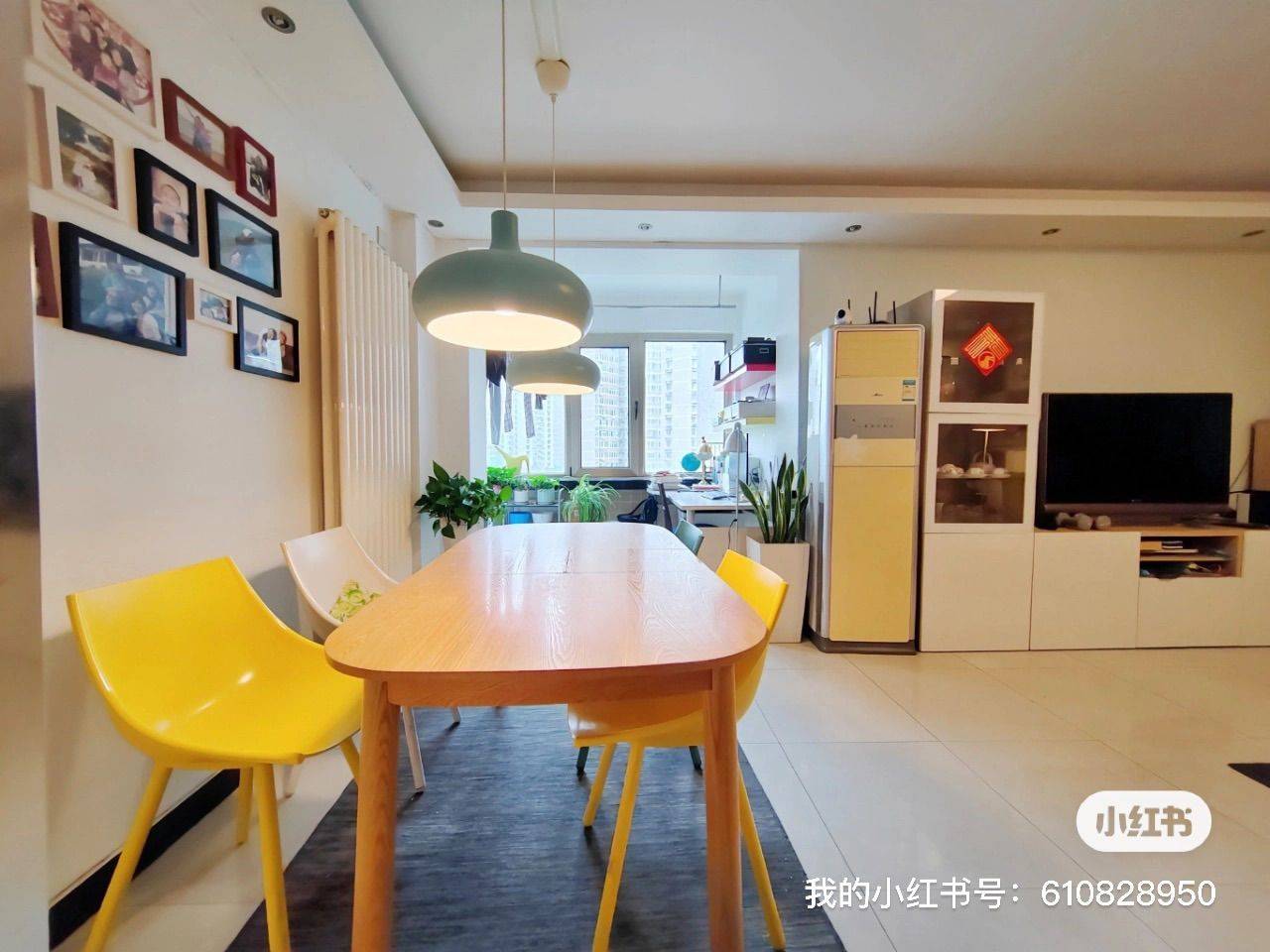 北京-朝阳-温馨小窝,干净治愈,不限性别,市井烟火气,慢时光,宠物友好