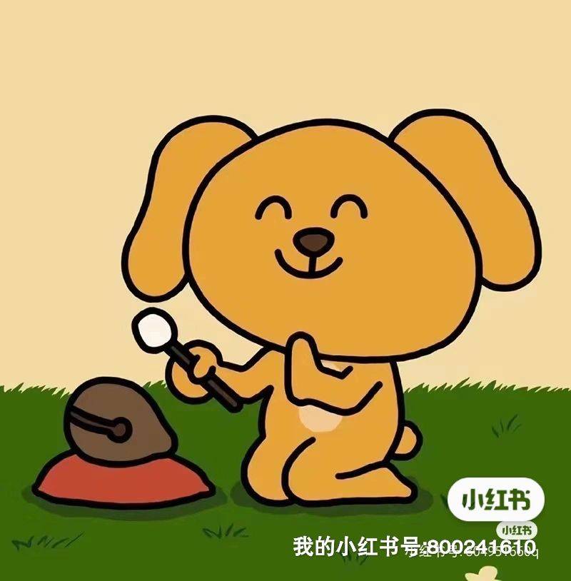 王小白