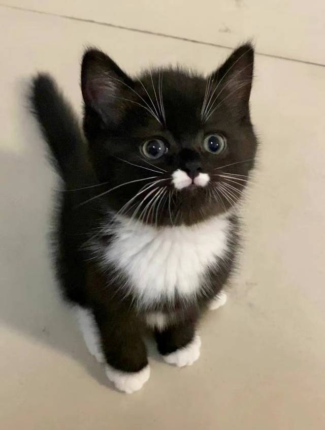 Heidi