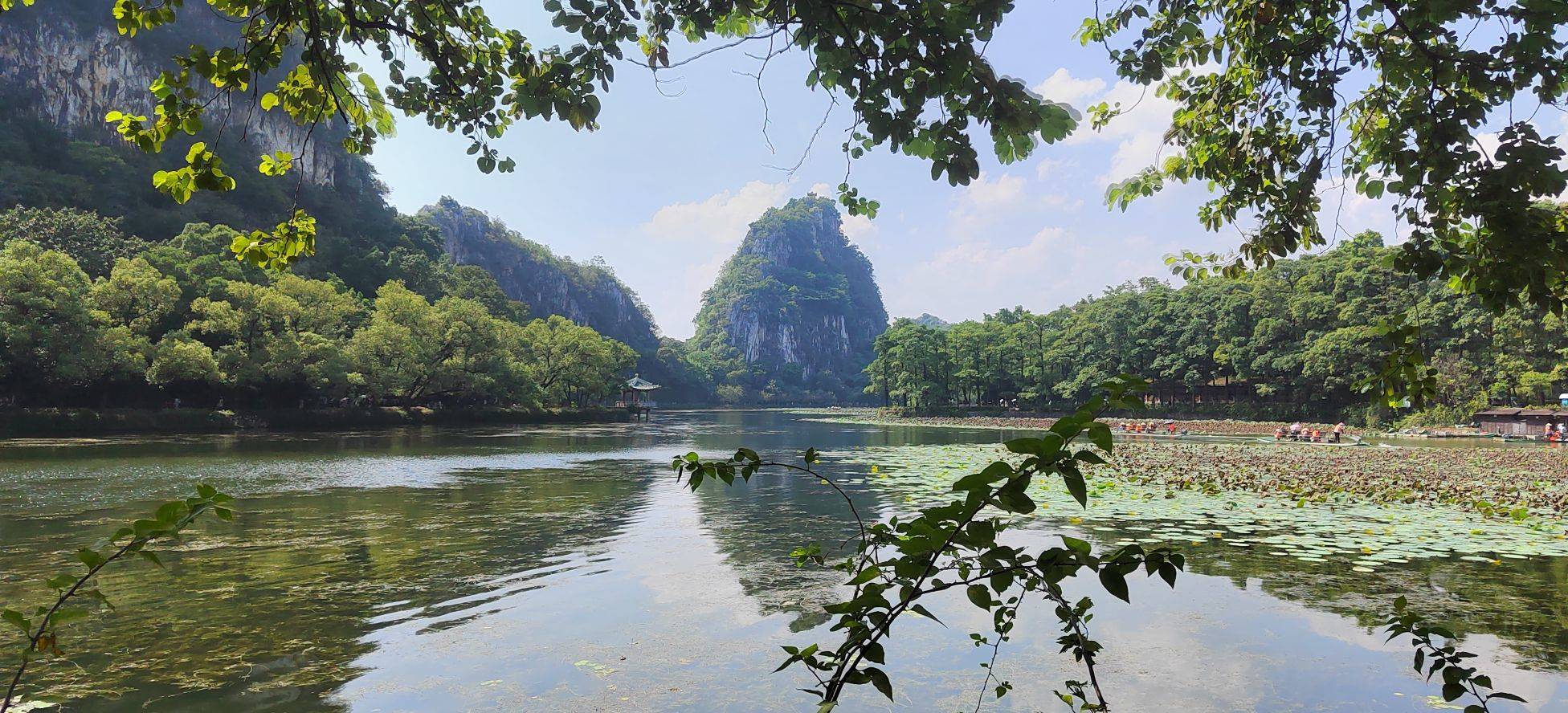 杨正鸿