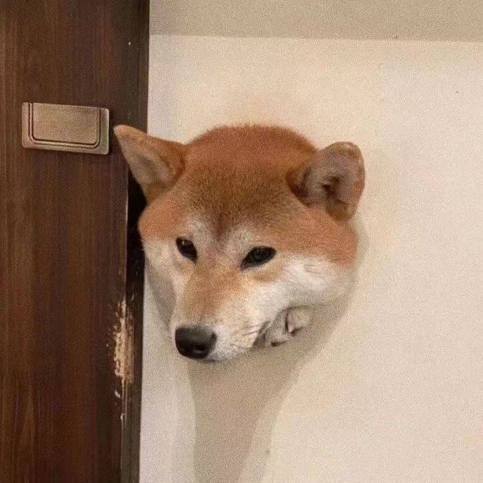 孙昊翰