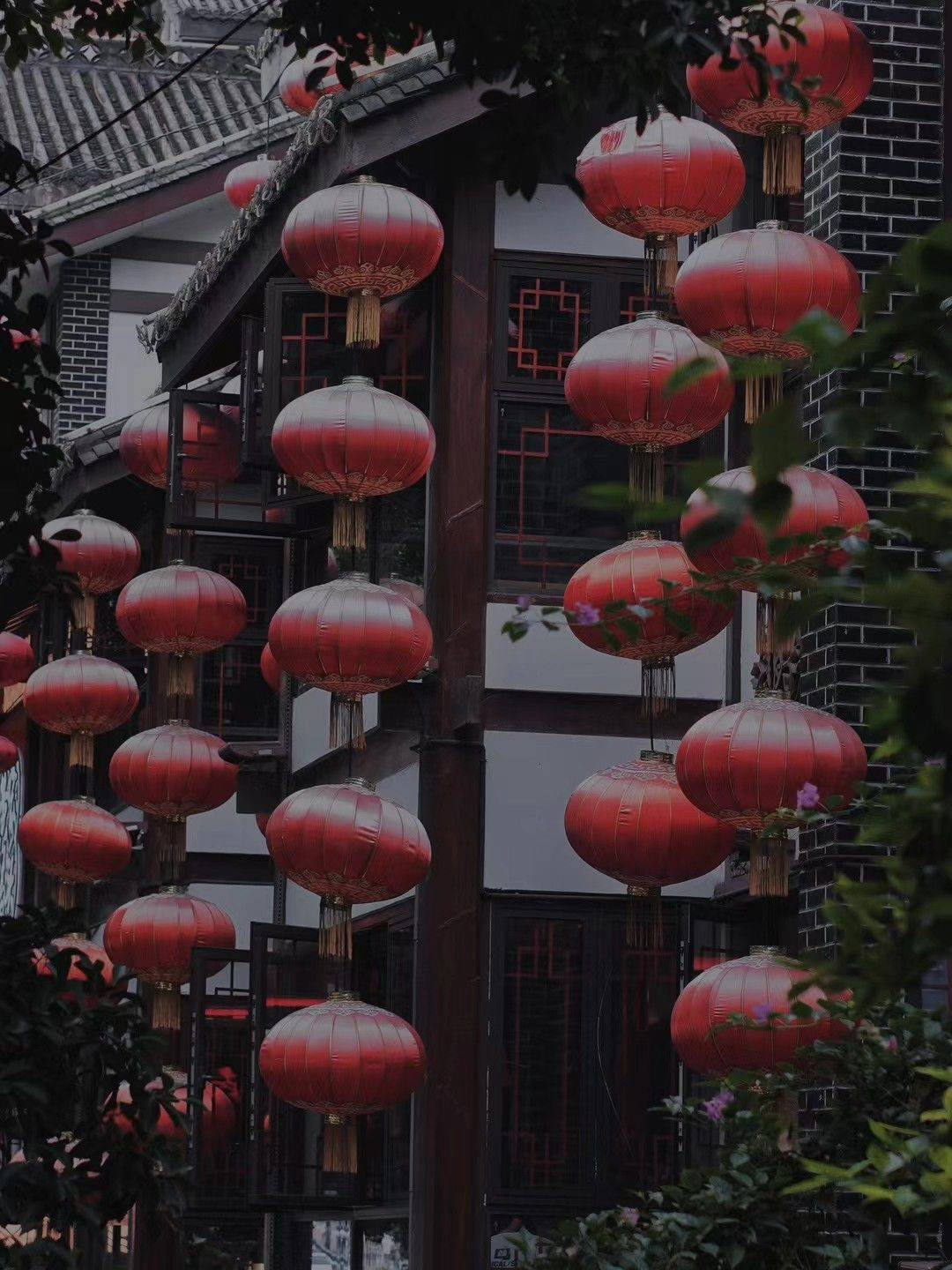 萧子揚