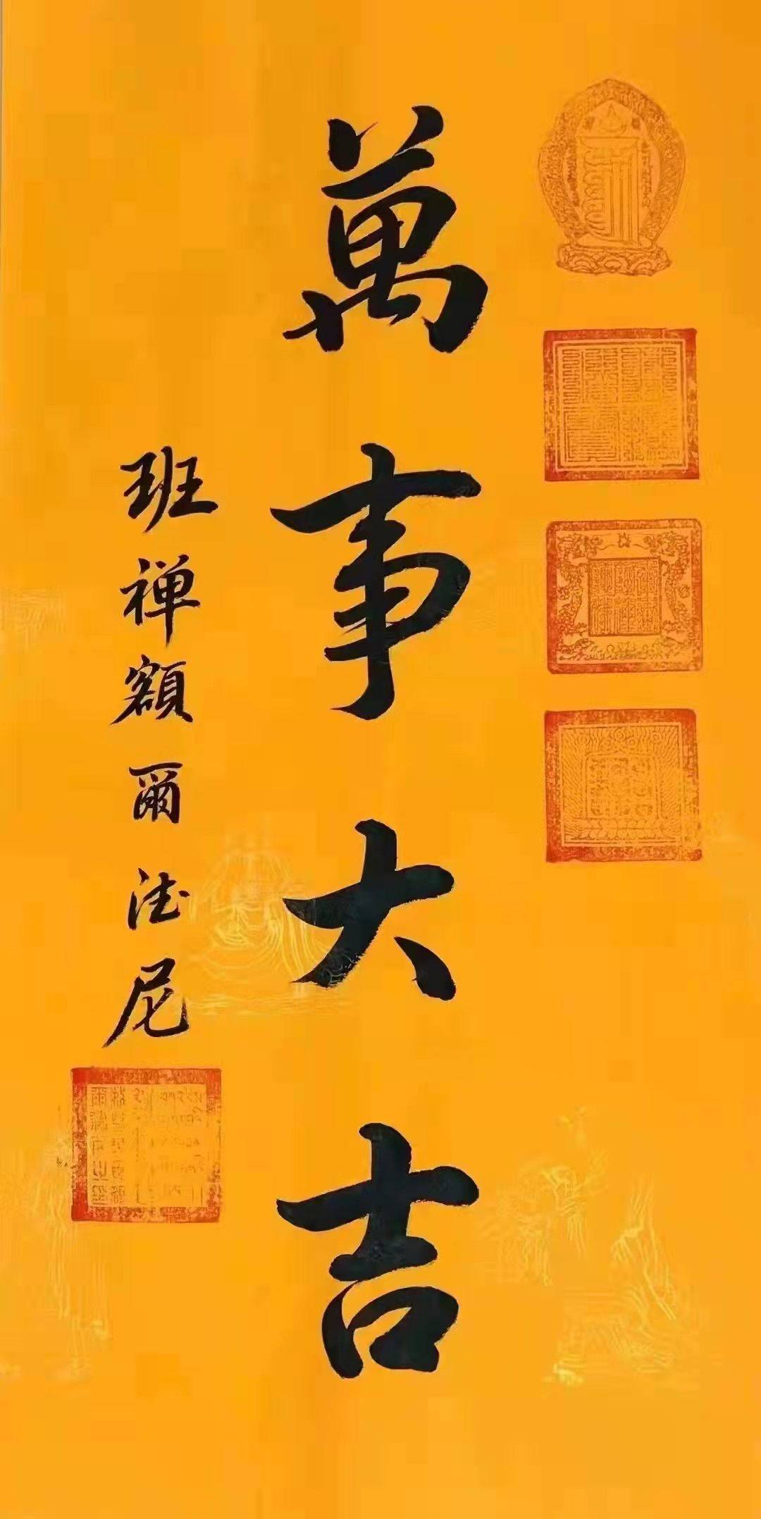 金D贝贝