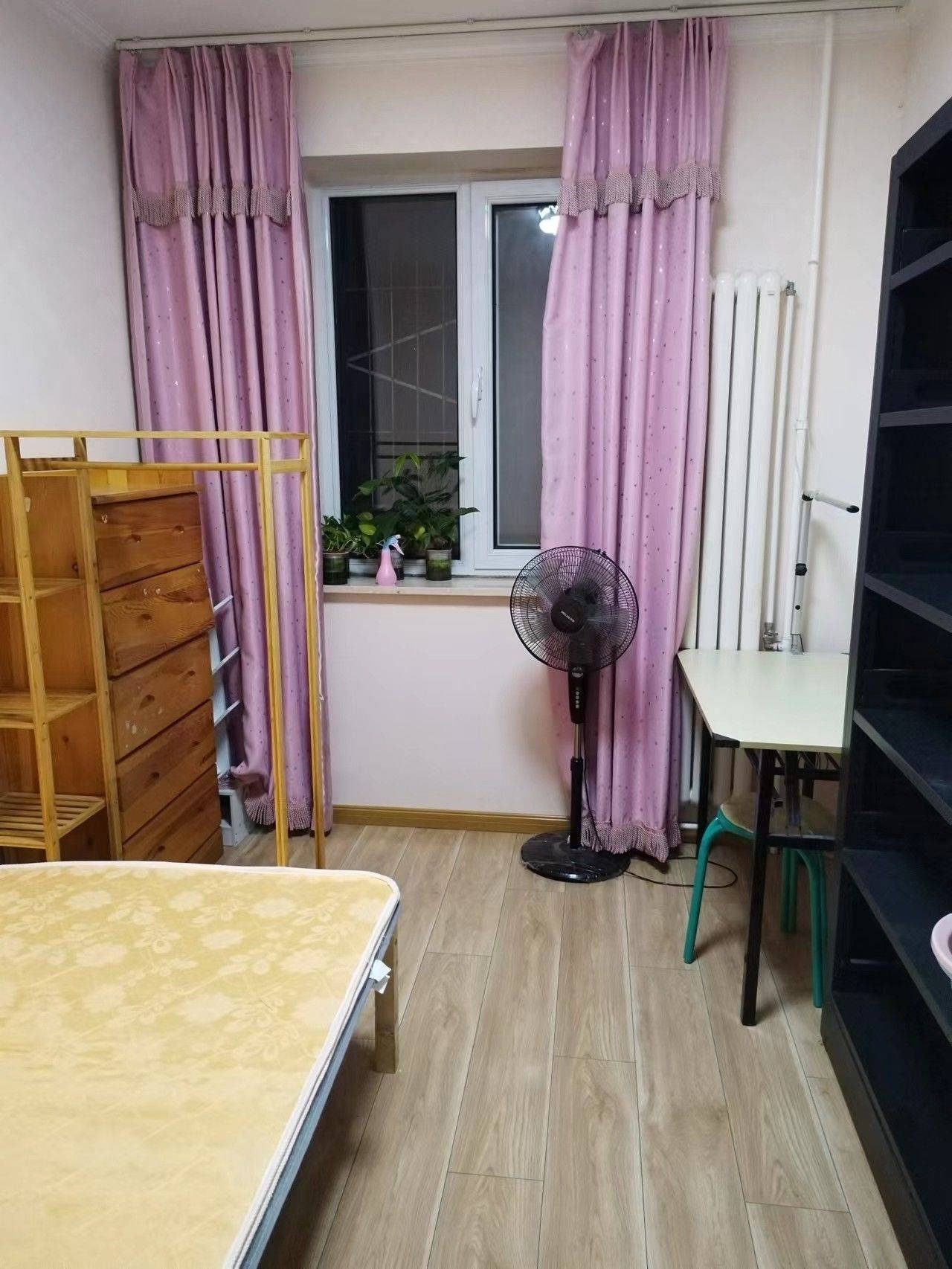 北京-海淀-100RMB/晚,温馨小窝,干净治愈