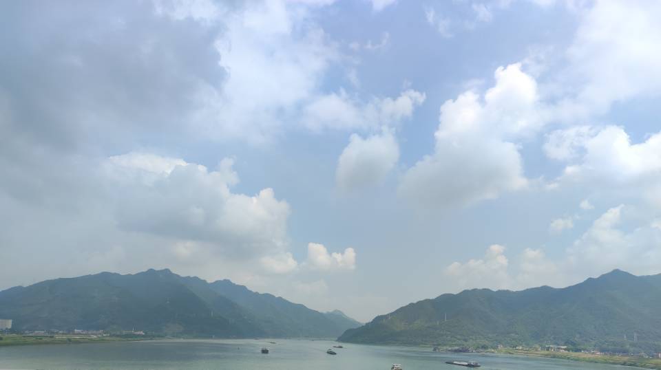 张女士