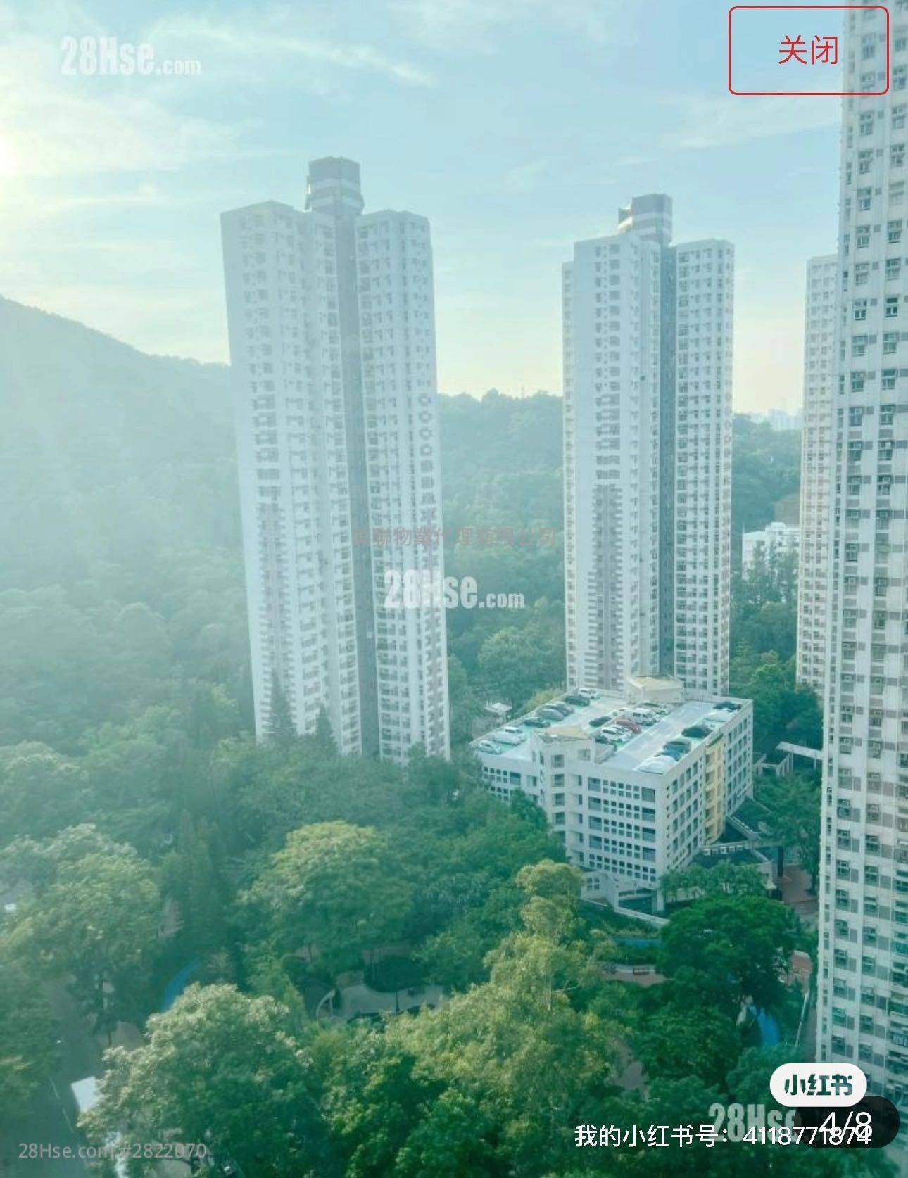 Hong KongNew TerritoriesCozy