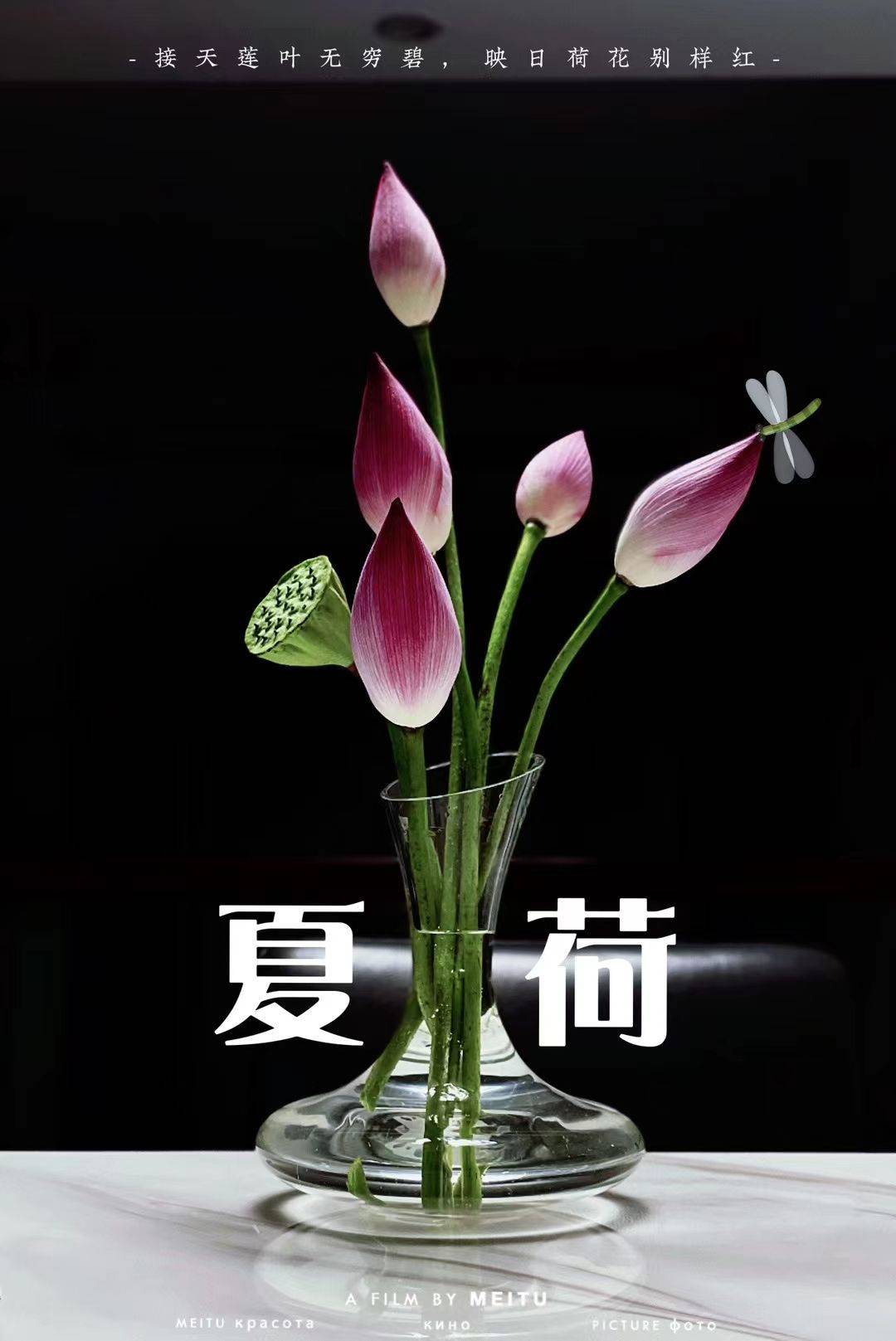 房东 陈姐