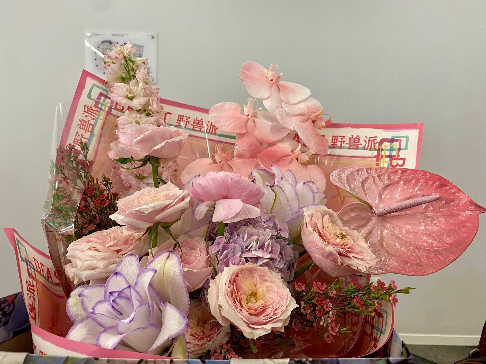 Coral朦