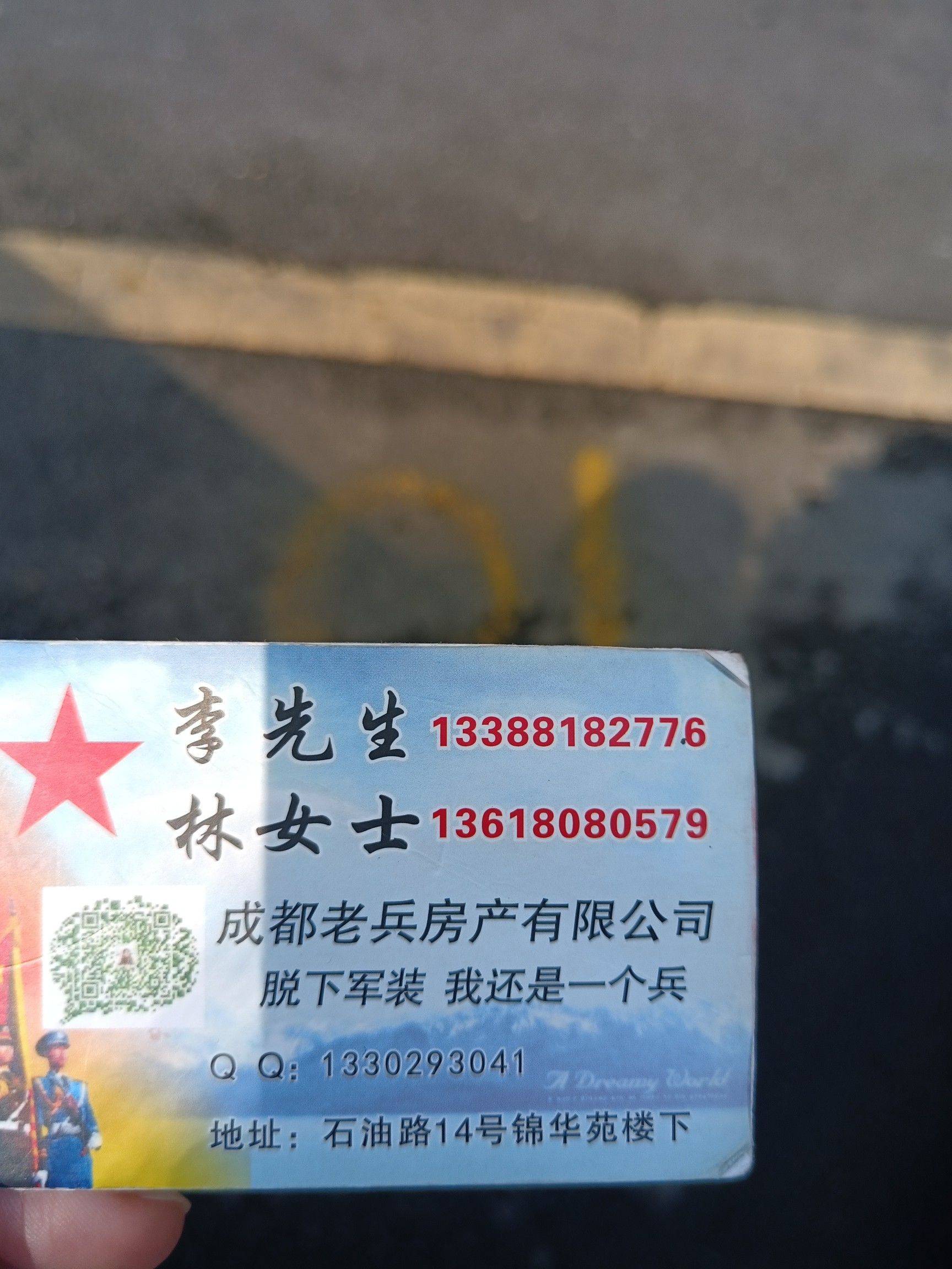林长菊