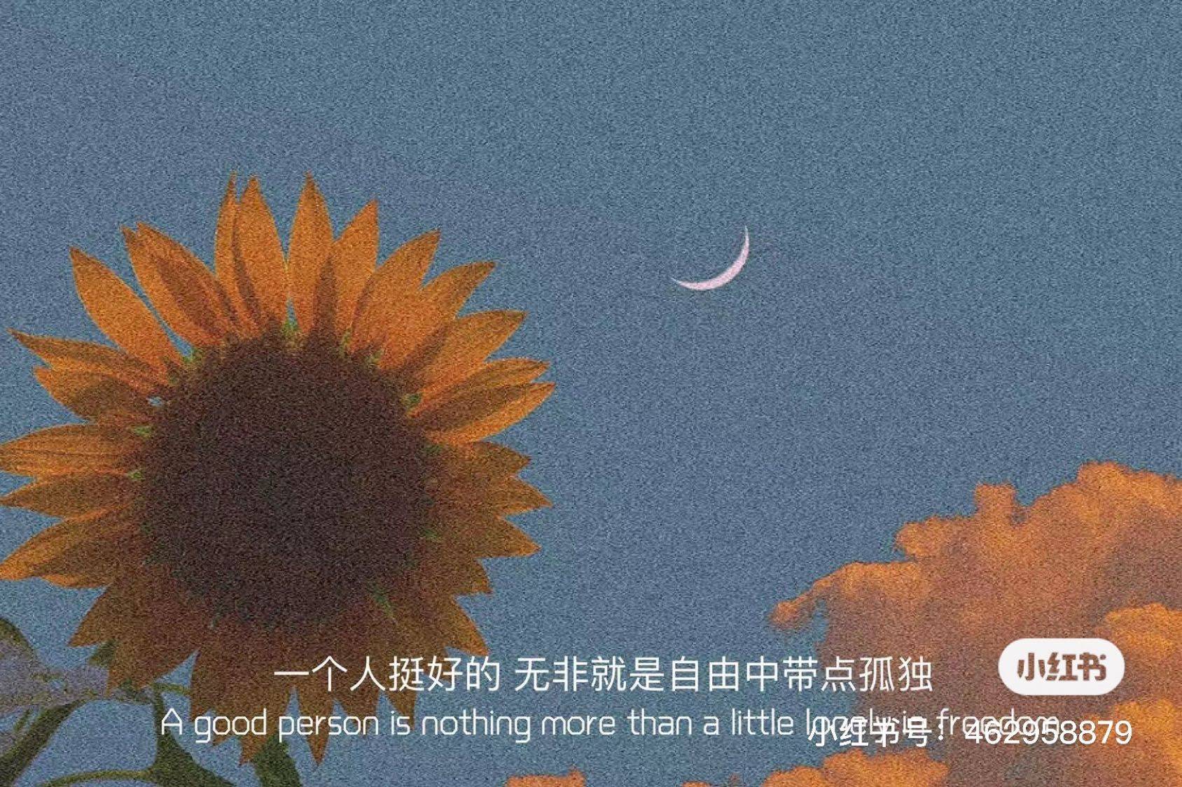 麦芽糖