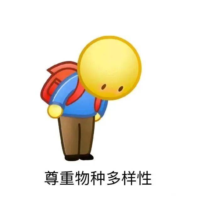 kk