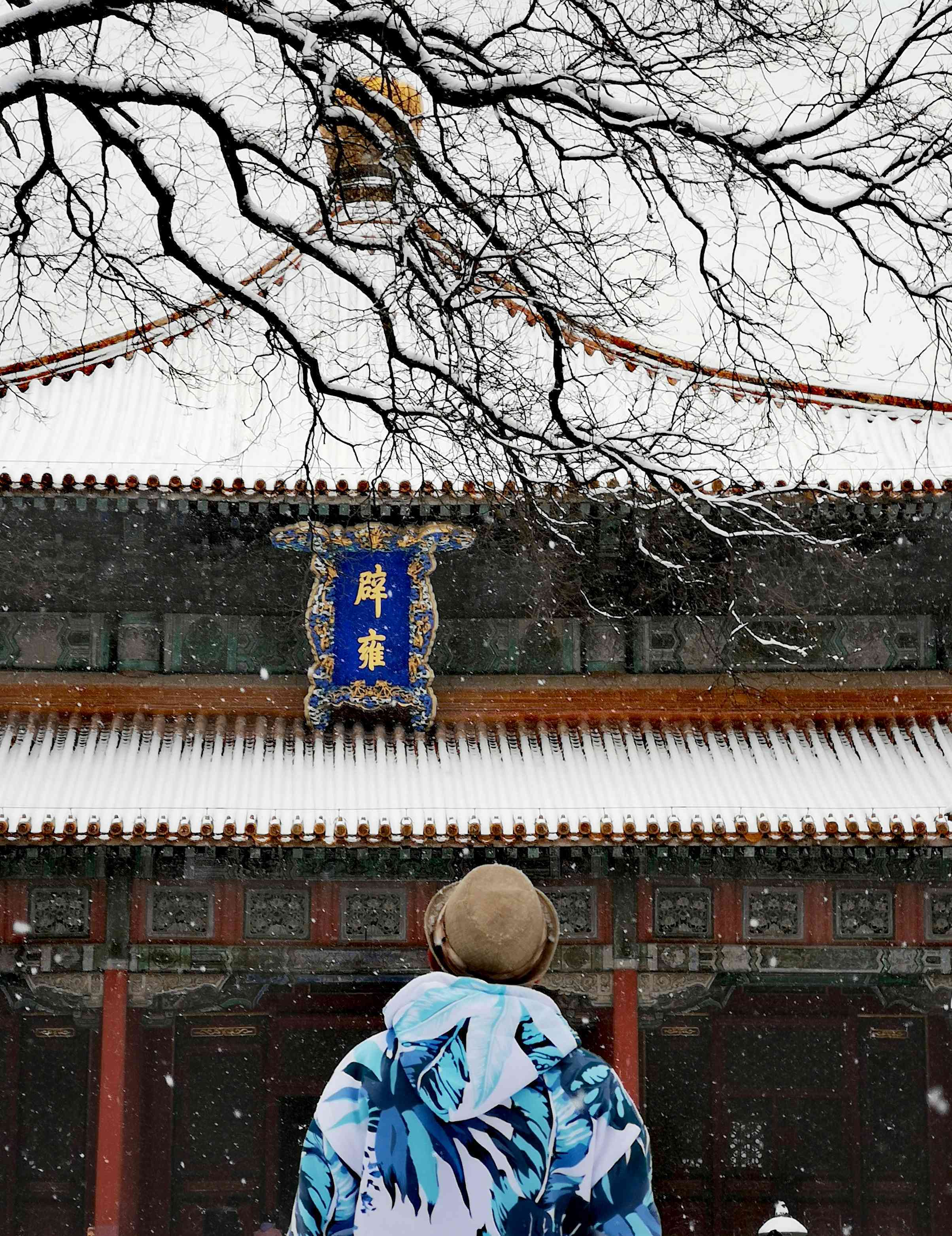 life_photo_1