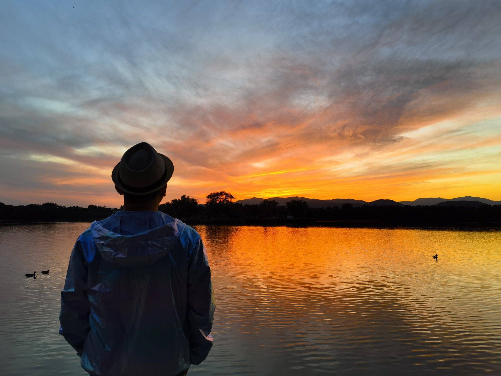 life_photo_0