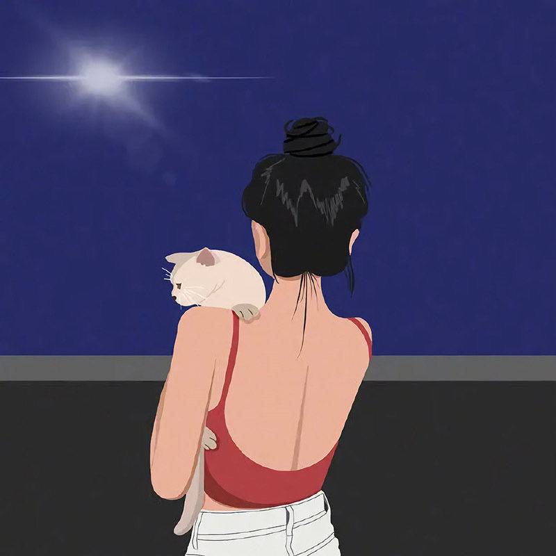 爱打盹的猫