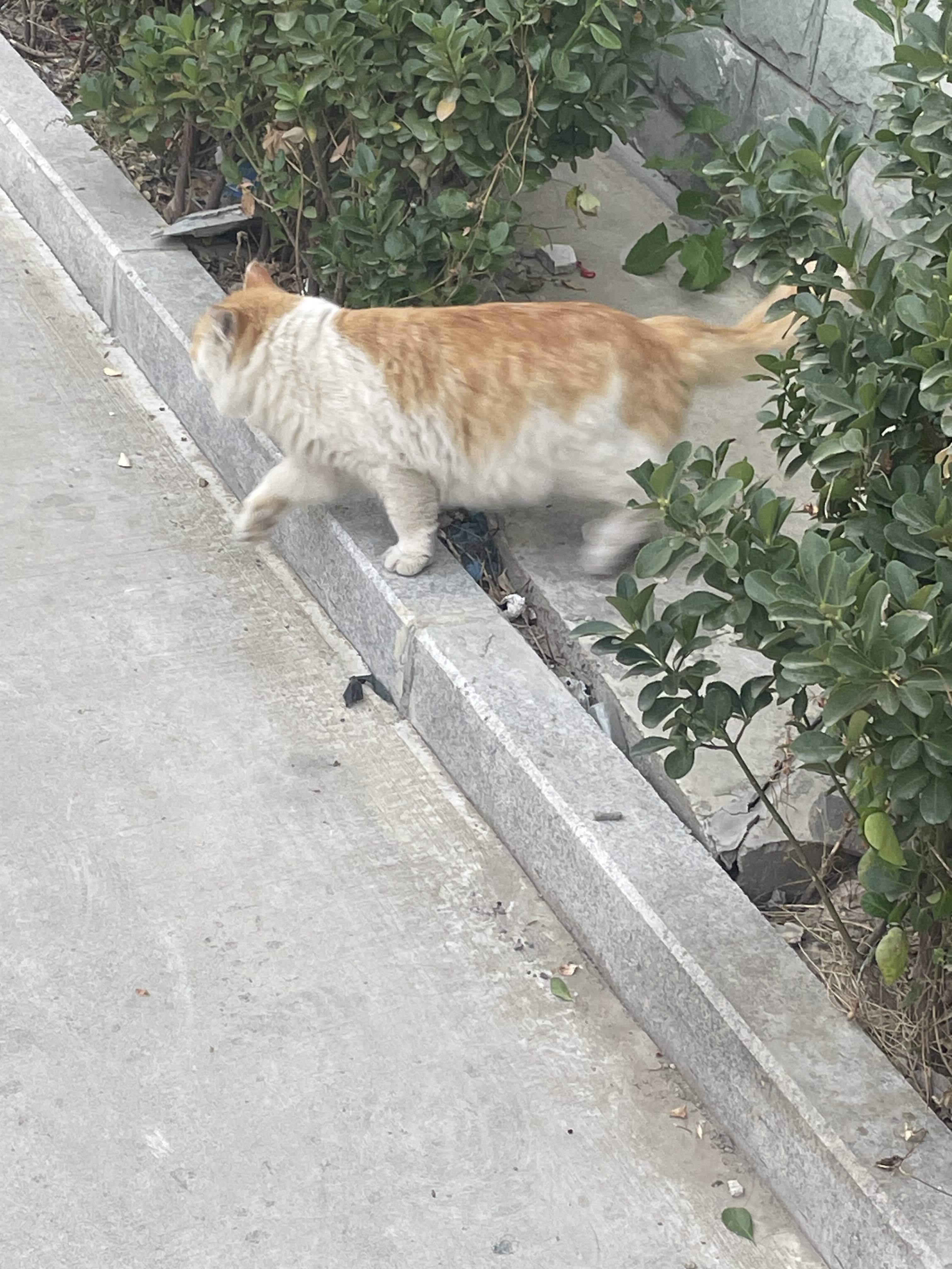 海边