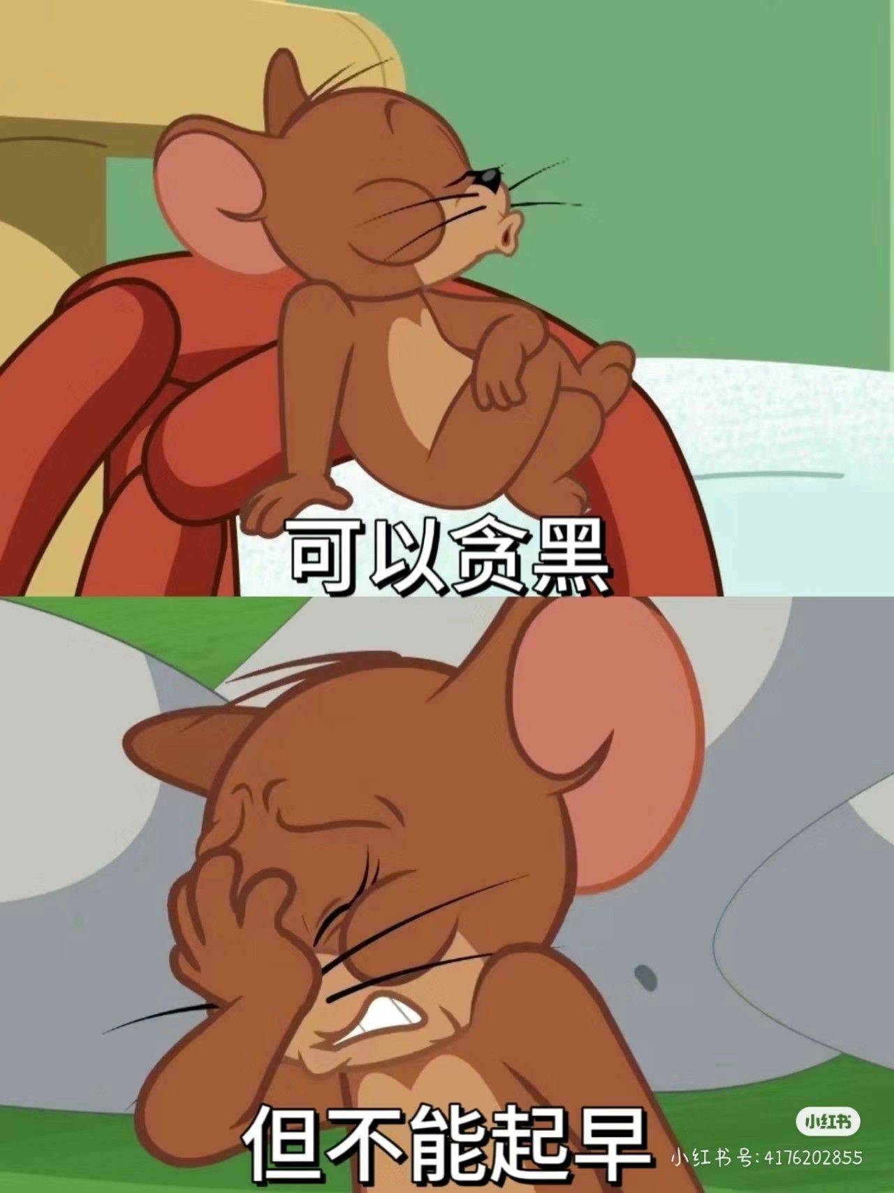zhuzhu