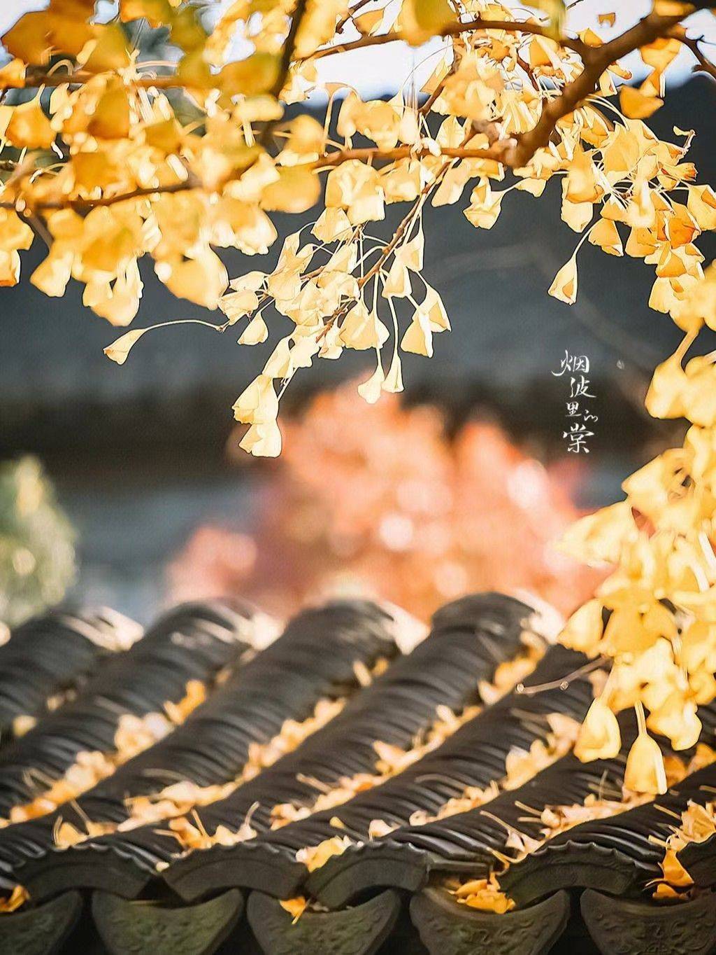 如意
