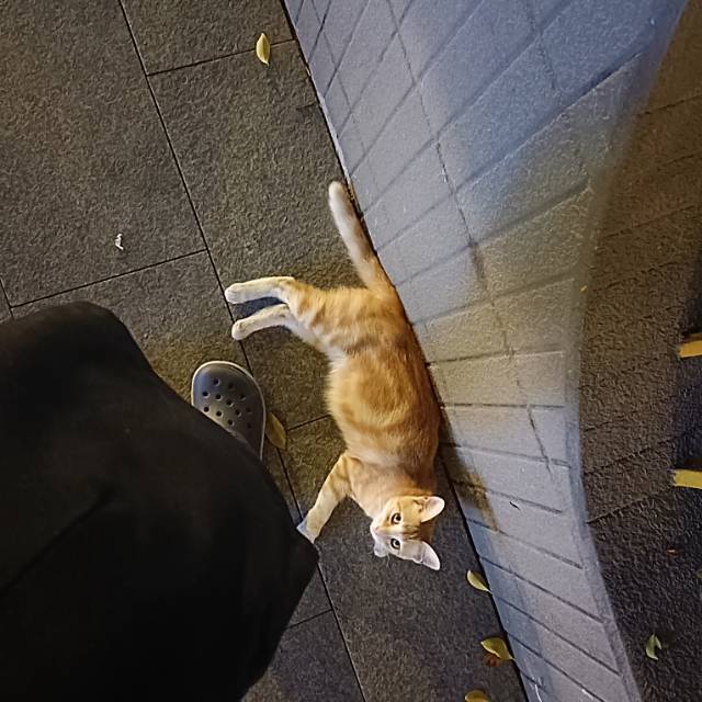 啊