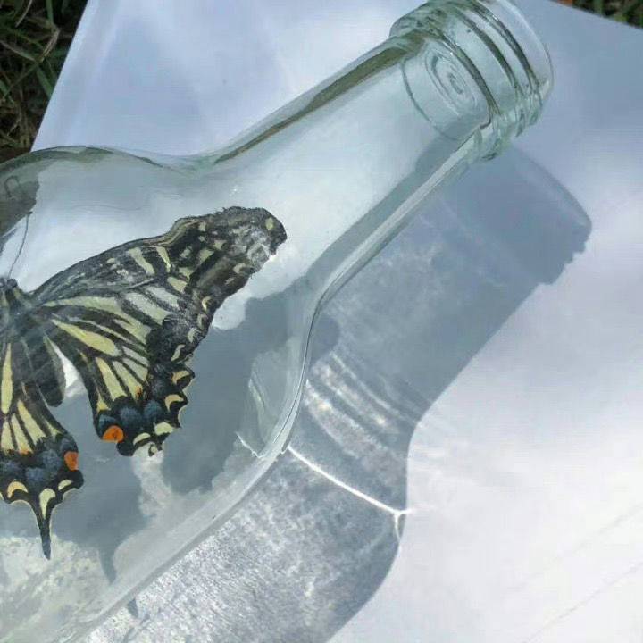 樱桃大丸子