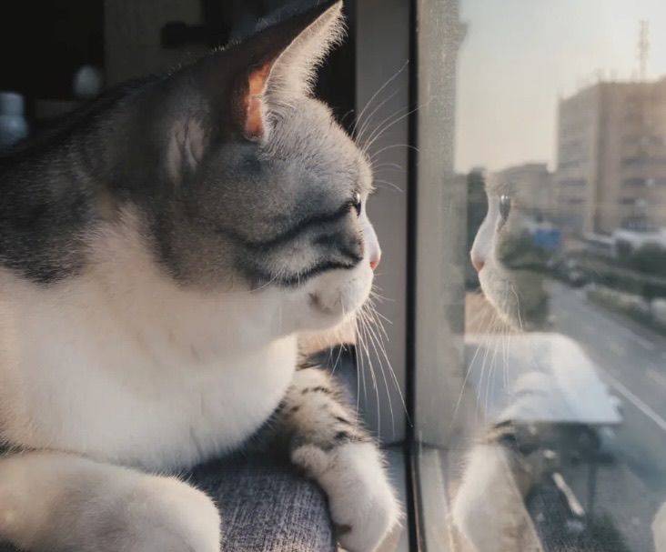丁生
