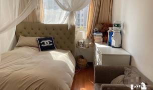 Shanghai-Pudong-Cozy Home,Clean&Comfy,No Gender Limit