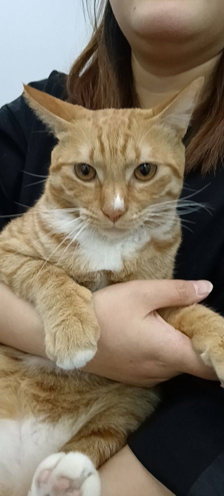弥吖吖