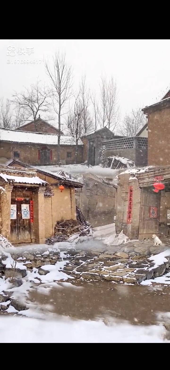 阳光房！！！地铁旁