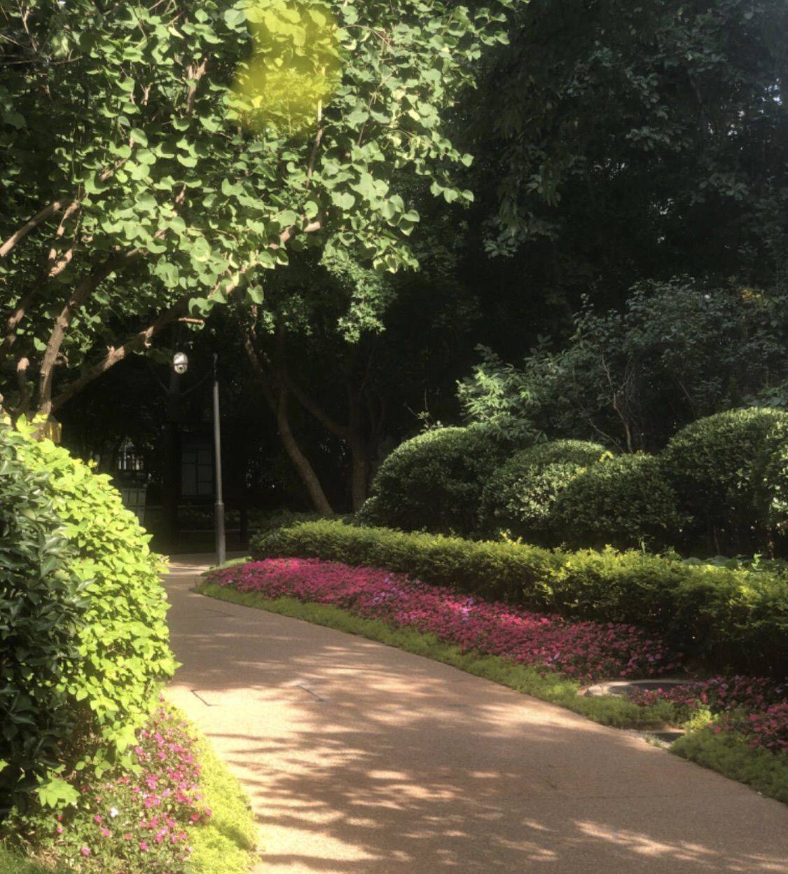 北京-海淀-Wudaokou,独立公寓,短租,搬离,LGBTQ友好,长&短租