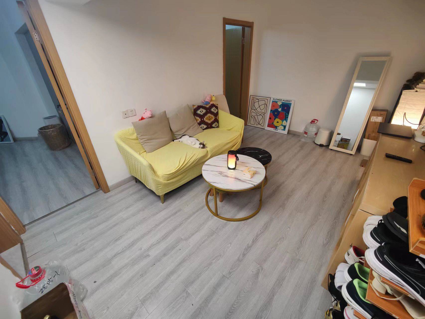 Shanghai-Jing‘An-Cozy Home,Clean&Comfy,No Gender Limit,Hustle & Bustle,“Friends”,Chilled,LGBTQ Friendly,Pet Friendly