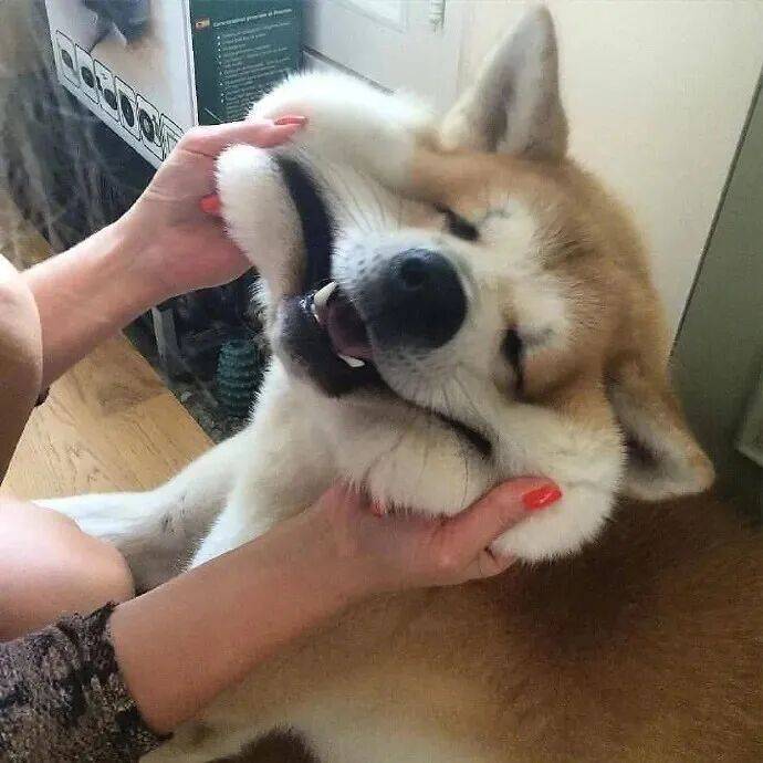 程