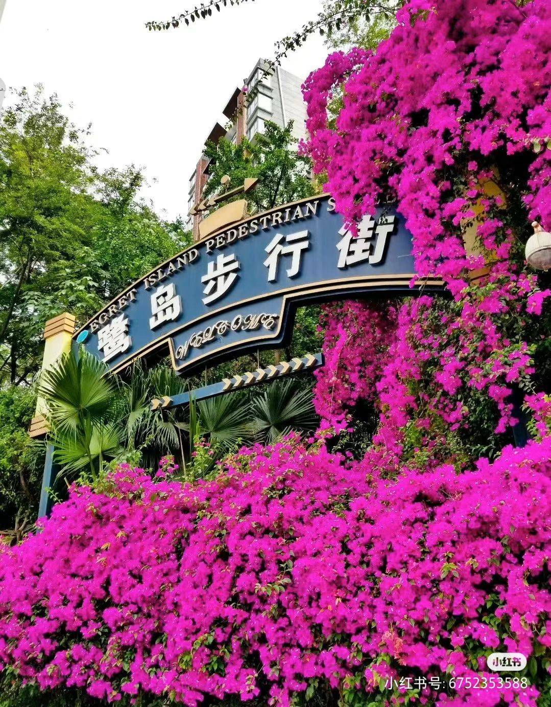 成都 武侯 | 鹭岛国际社区四期_5