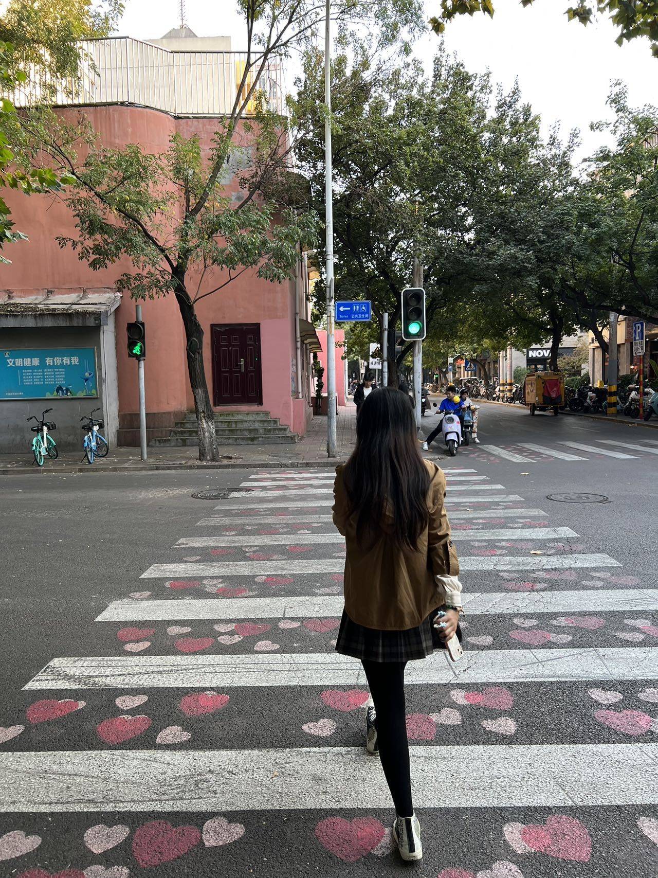 紫菀呐
