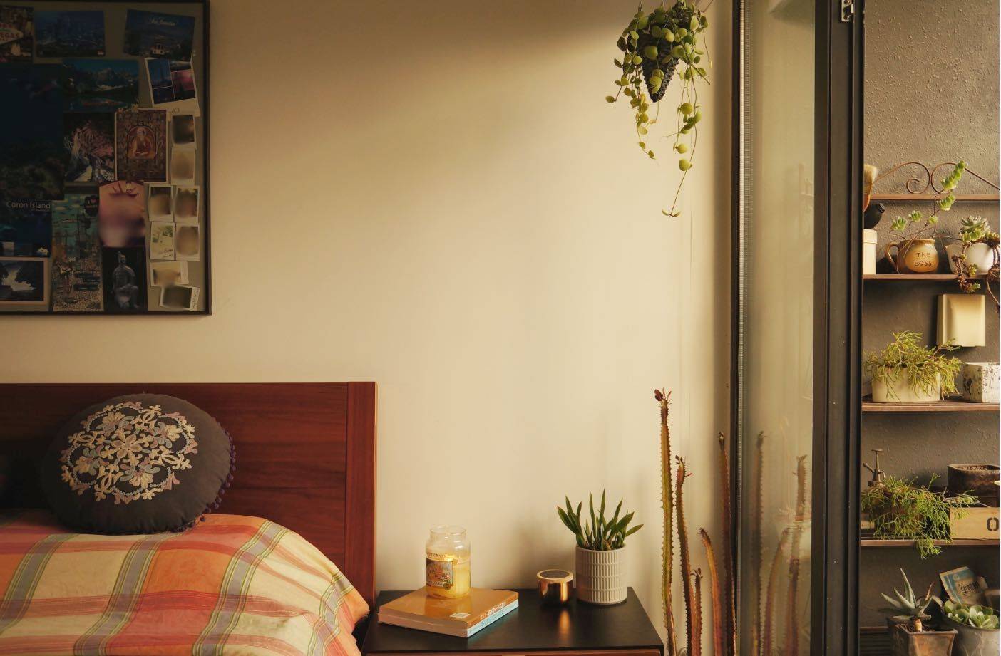 Shenzhen-Nanshan-Cozy Home,Clean&Comfy,No Gender Limit,Hustle & Bustle,Pet Friendly