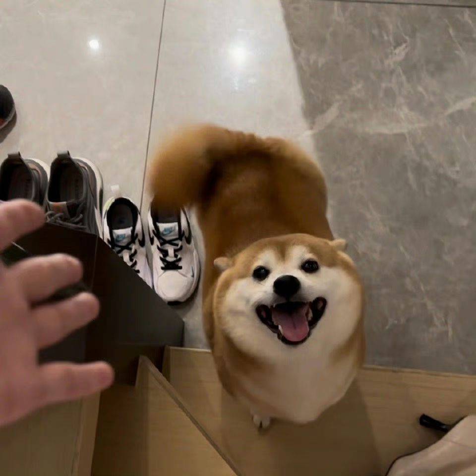 鹿