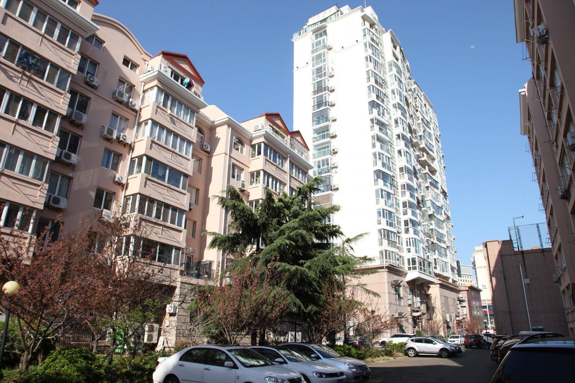 青岛 市南 | 贵合花园_7