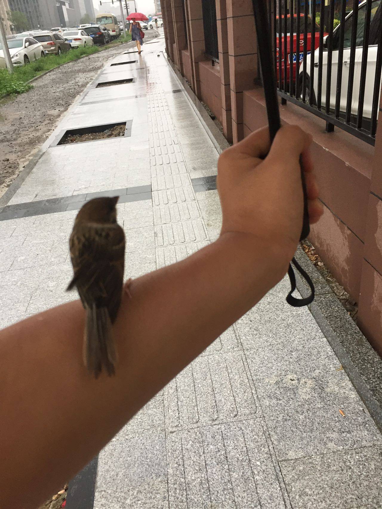 丰台六里桥地铁站房东