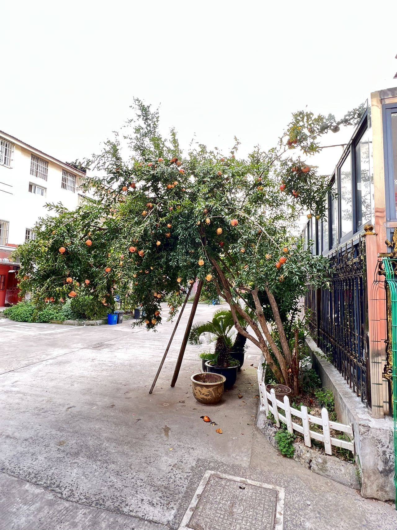 Suzhou-Wuzhong-Cozy Home