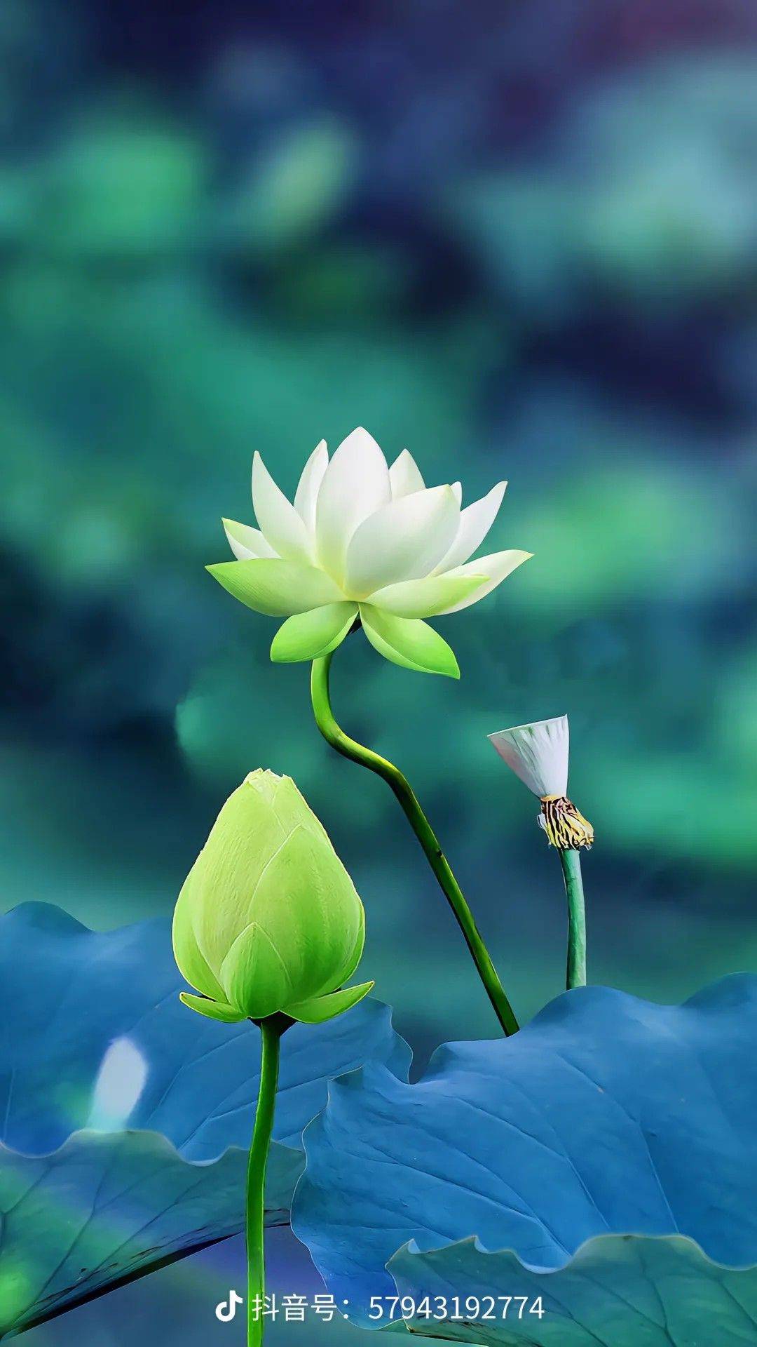 一缕阳光