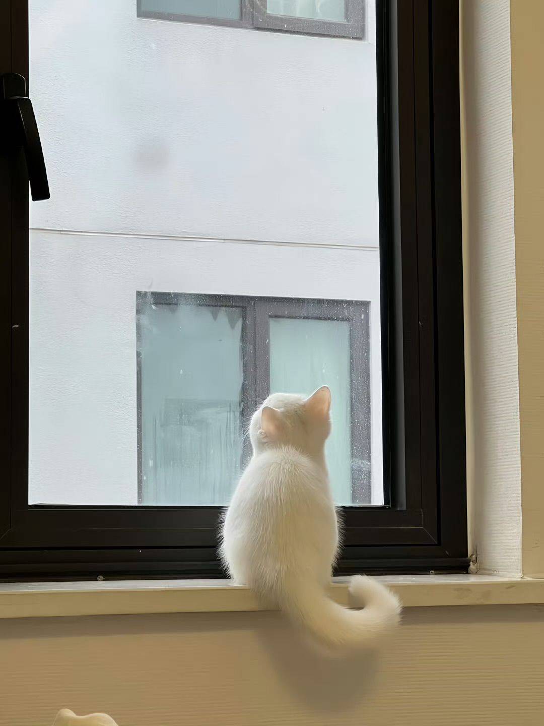 耳幼
