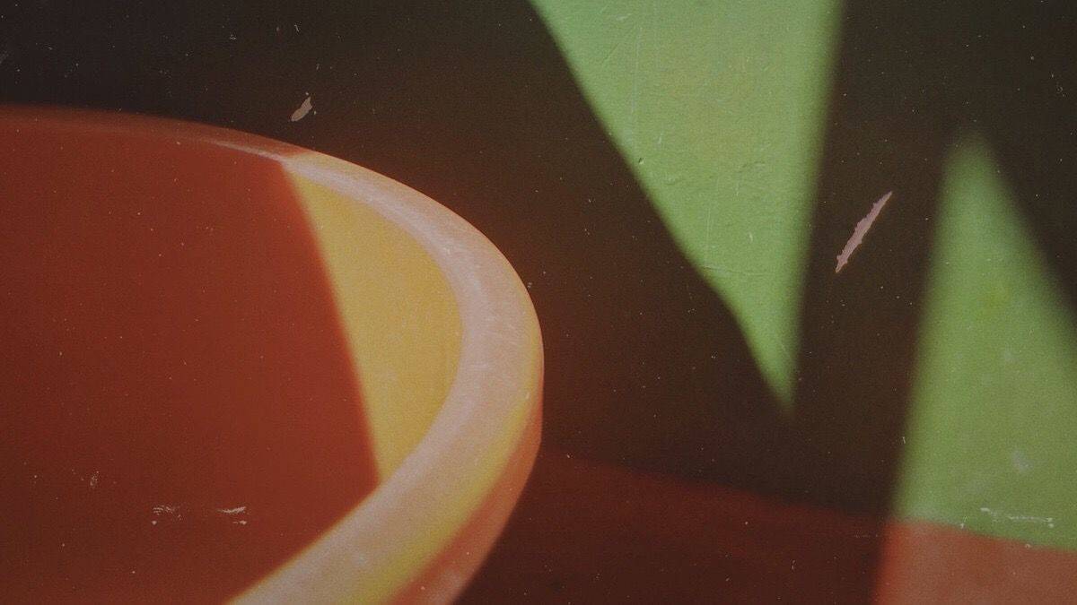 比奇堡丑丑鱼