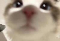 谷