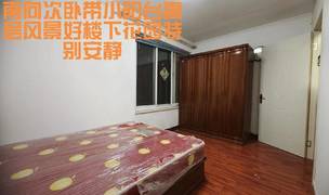Beijing-Chaoyang-👯‍♀️,Shared Apartment,Short Term